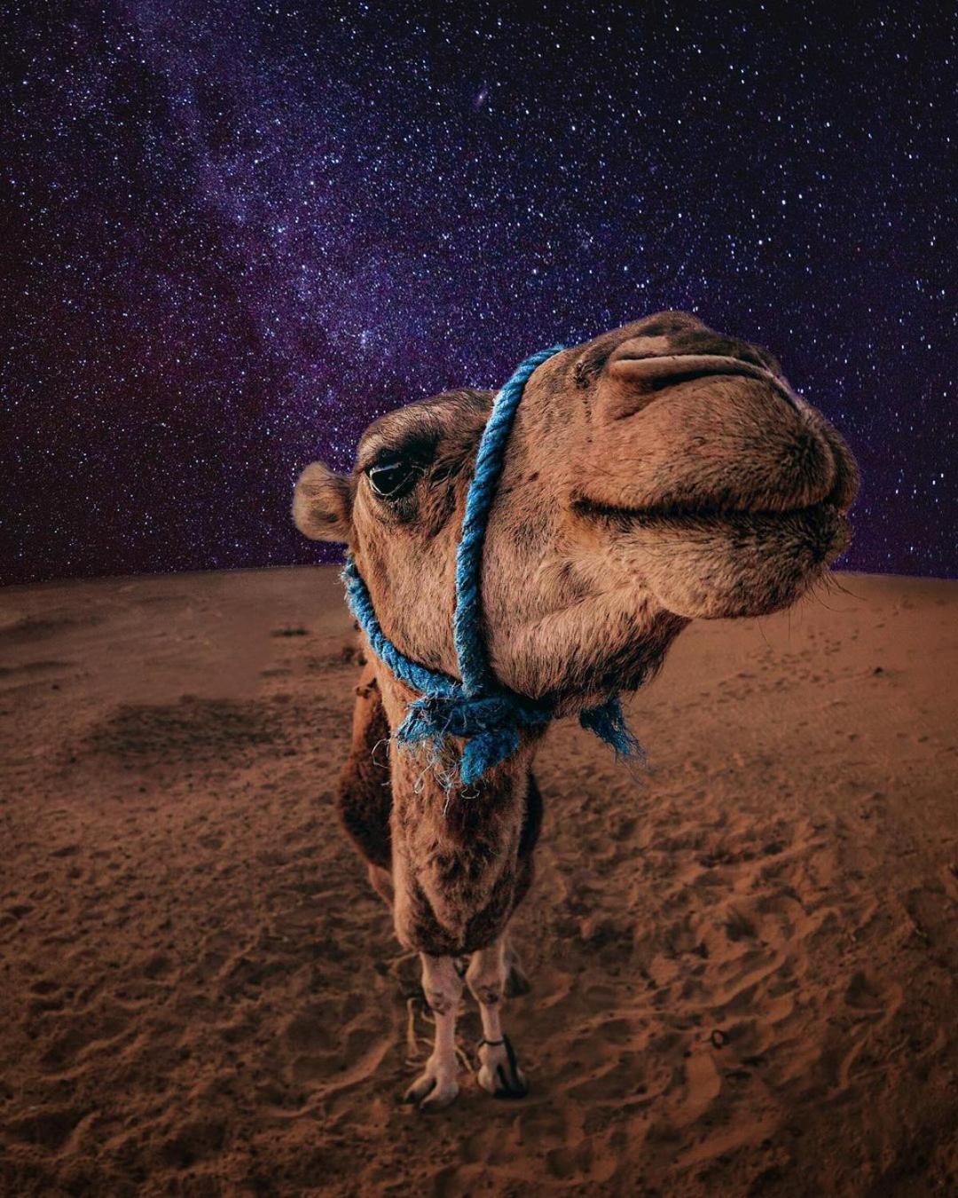 Merzouga Luxury Magic Nights Extérieur photo
